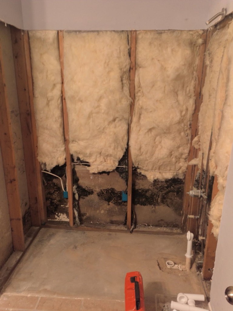 Exposed bathroom wall studs showing severe black mold damage and saturated insulation before shower removal in a Florida home